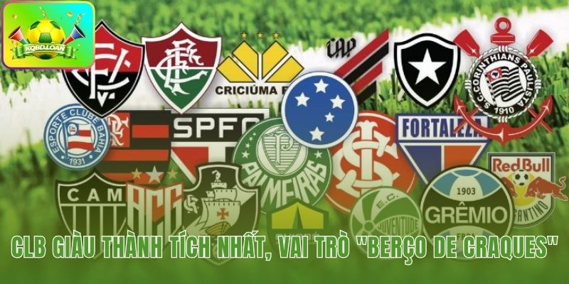 Hình minh họa bóng đá Brazil 3