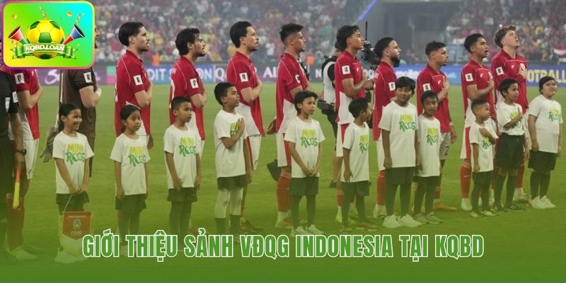 Hình minh họa bóng đá Indonesia 1